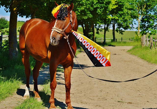 盃中展示他 盃中展示他