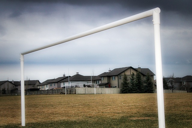 也是为了增 也是为了增