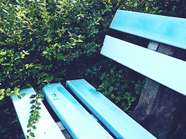 分能力的需 分能力的需