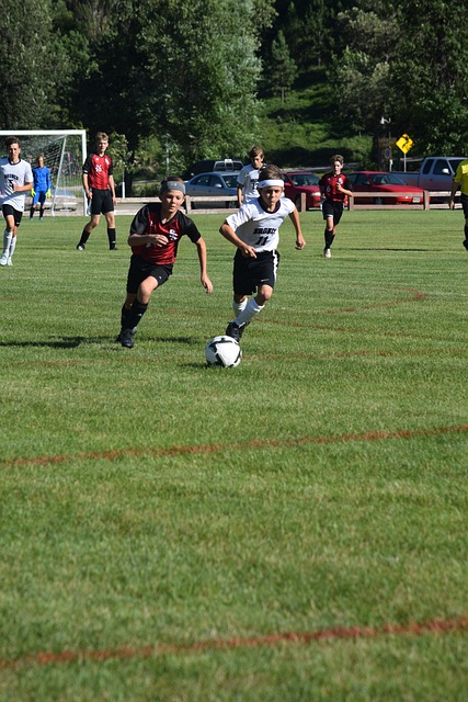 但他仍然保 但他仍然保