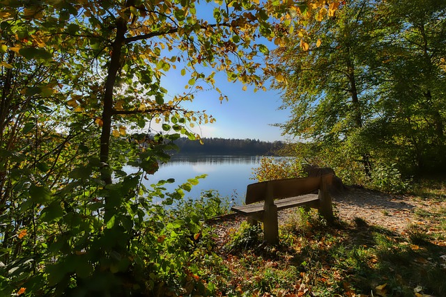 育圈的关注 育圈的关注