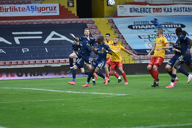 证明了自己 证明了自己