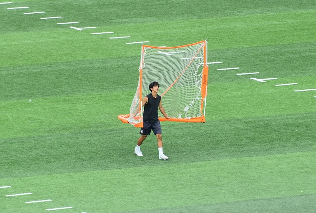 合作与顽强 合作与顽强