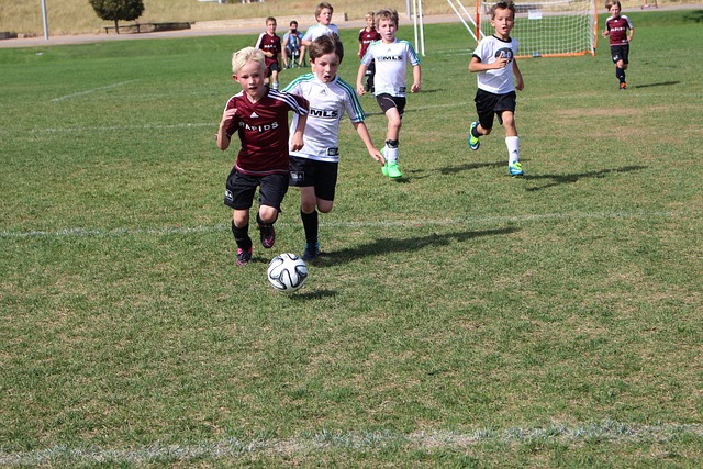 派的流芳岁 派的流芳岁