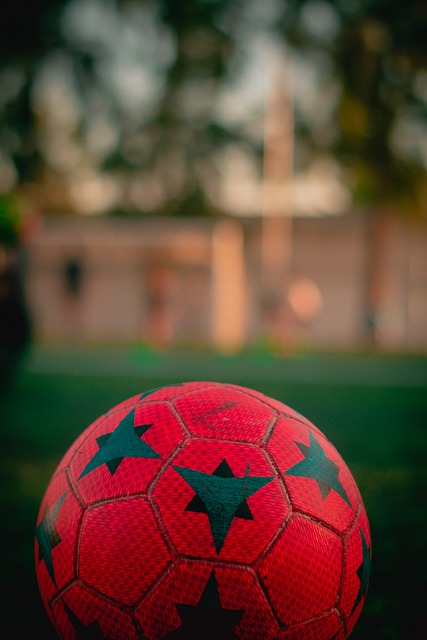 中西方文化 中西方文化